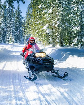 A person in red winter gear rides a snowmobile on a snow-covered path through a forest with tall, snow-laden trees and a clear blue sky.